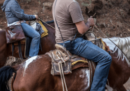 Best Horse Saddle For Trail Riding