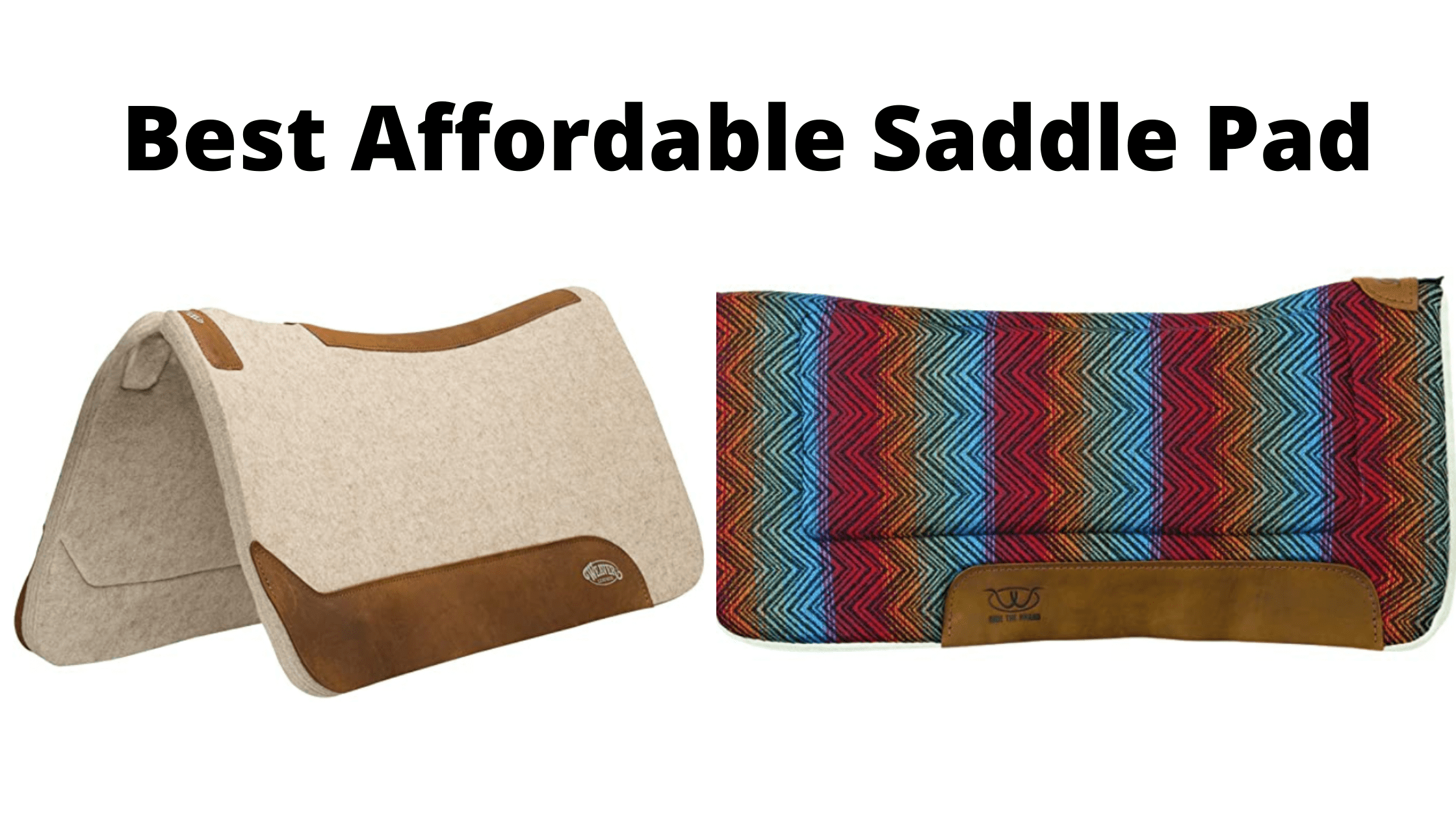5 Best Affordable Saddle Pad Under 100 In 2024