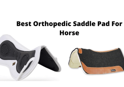 Best Orthopedic Saddle Pad For Horse