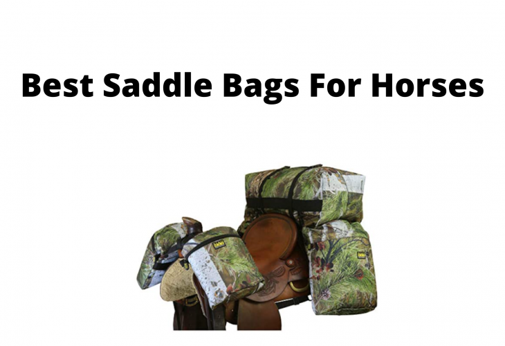 Best Saddle Bags For Horses