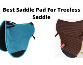 Best Saddle Pad For Treeless Saddle