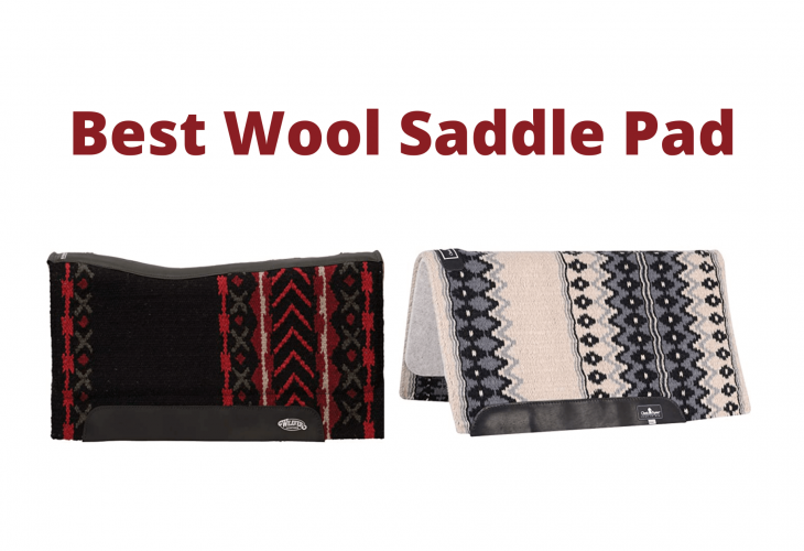 Best Wool Saddle Pad