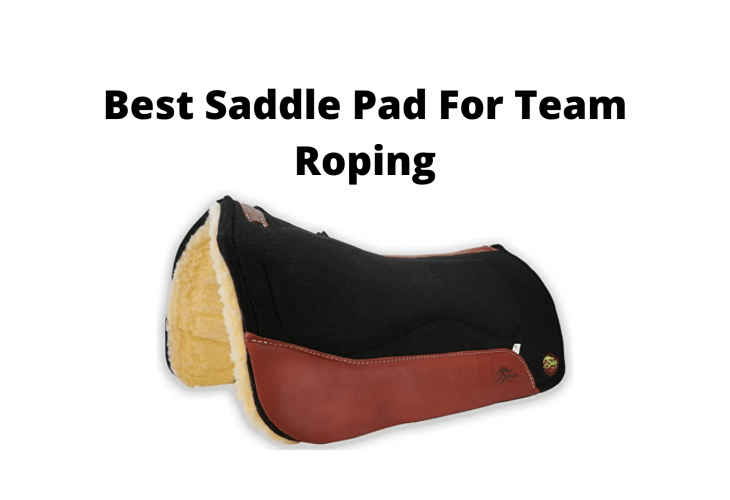 Best Saddle Pad For Team Roping