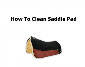 How To Clean Saddle Pads