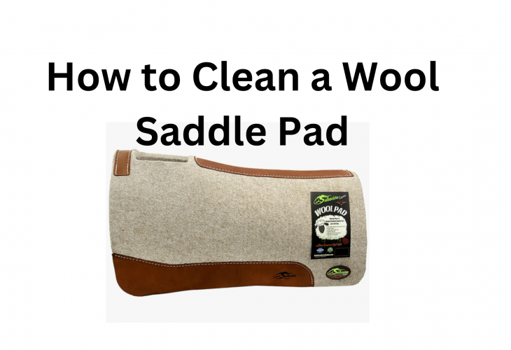 My apologies, it seems that my response was cut off. Here's the complete article: How to Clean a Wool Saddle Pad